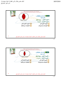 البنك ( 31 )